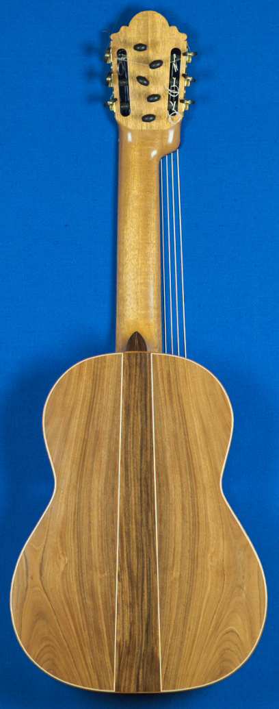 back 11 string guitar